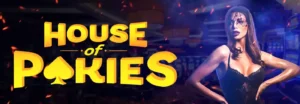 Do not lose out on the enjoyable and incentives: House Of Pokies